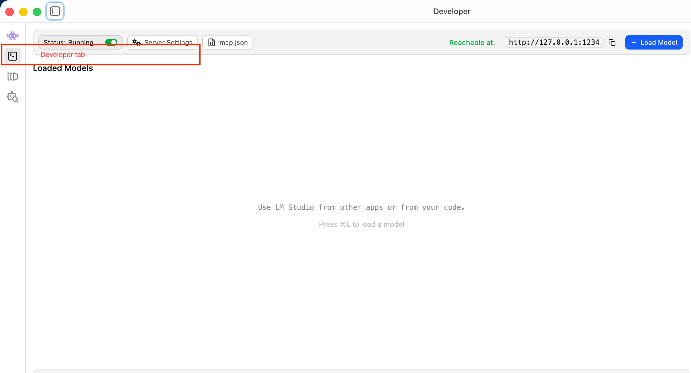 LM Studio window with the Developer tab marked by a terminal icon in the left sidebar